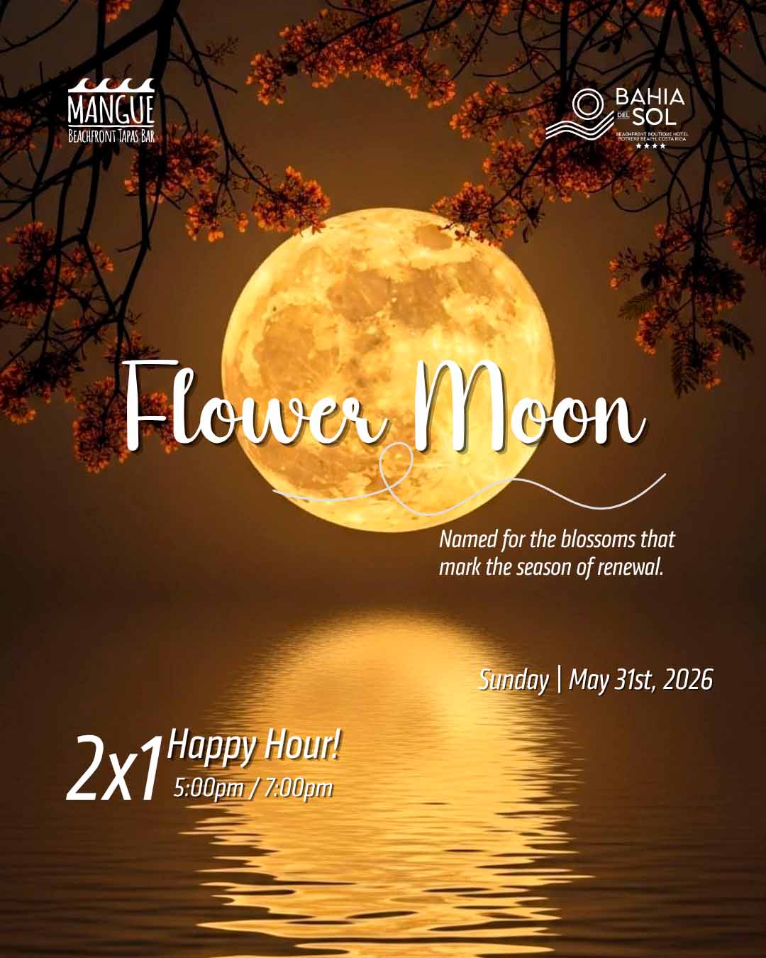 flower-moon